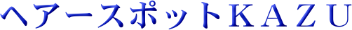 �w�A�[�X�|�b�g�j�`�y�t