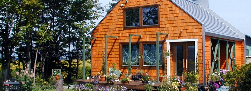 P1011170.JPG