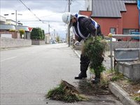 道路清掃