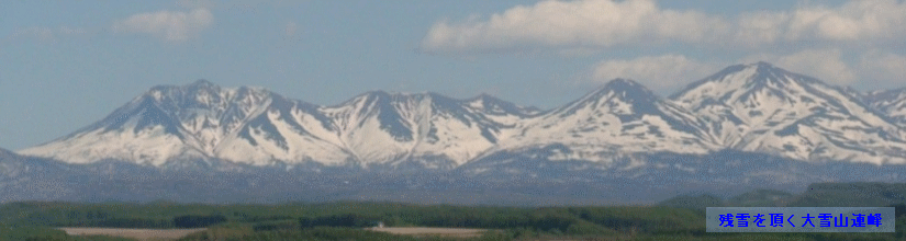 残雪を頂く大雪山連峰